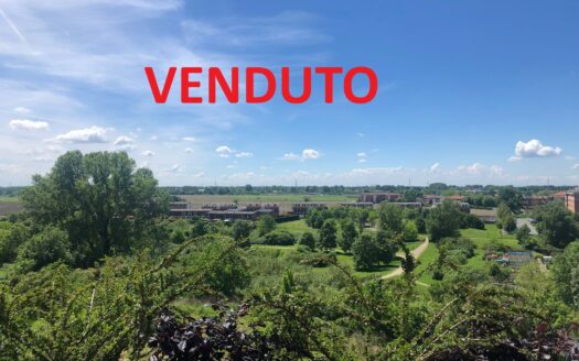 ATTICO BILOCALE ARREDATO ULTIMO P. – VISTA PARCO, ROZZANO