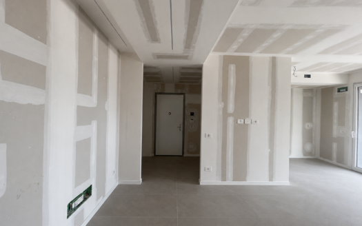 AMPIO 3 LOCALI R. GREENPARK – VIA TOSCANA, BIASSONO (MB)